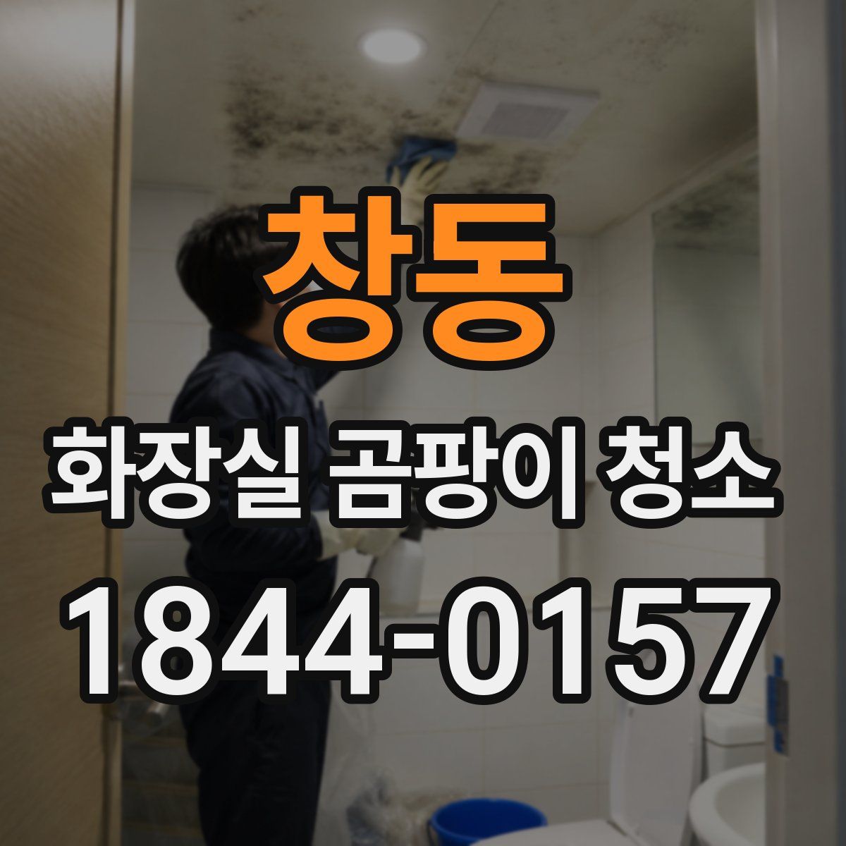 창동 화장실 곰팡이 청소