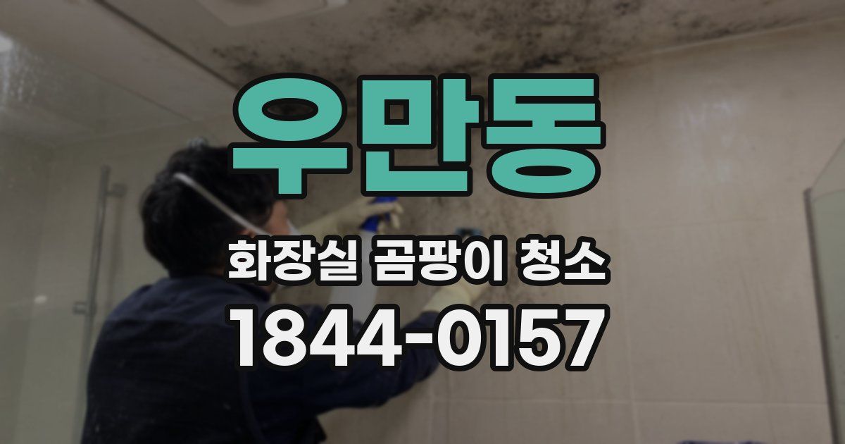 우만동 화장실 곰팡이 청소