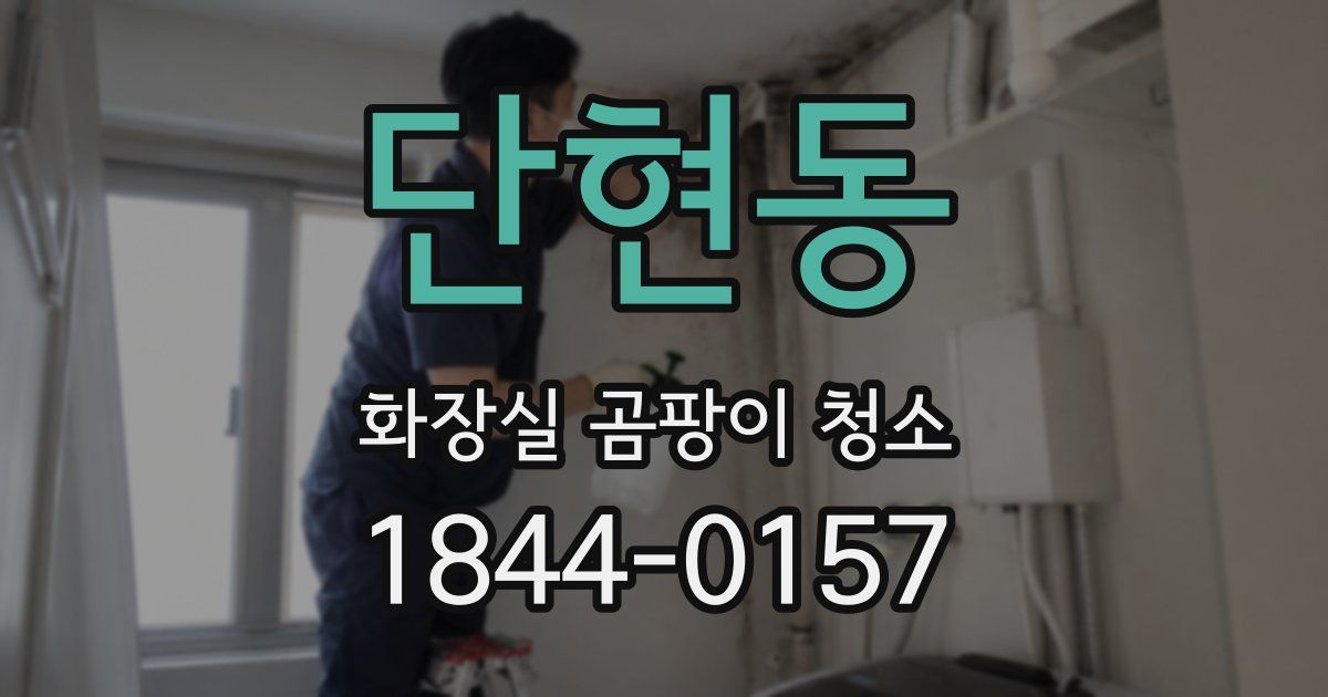 단현동 화장실 곰팡이 청소