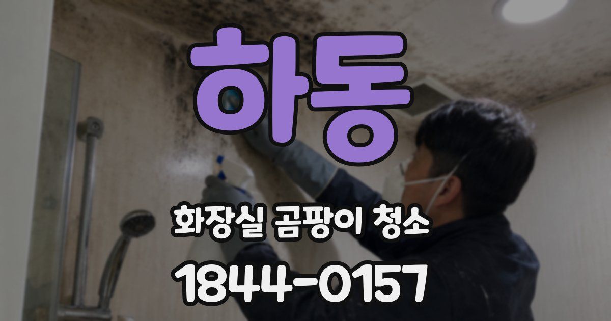 하동 화장실 곰팡이 청소