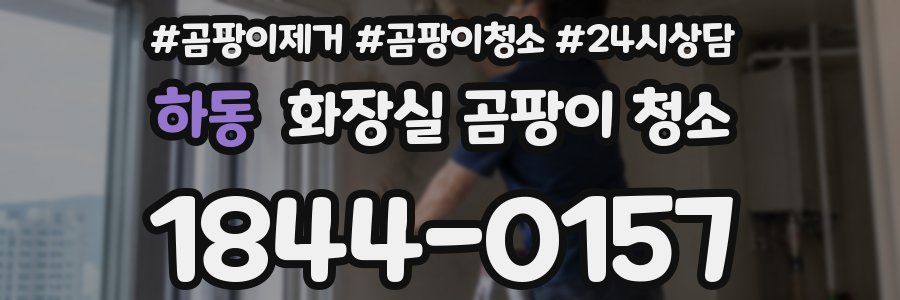 하동 화장실 곰팡이 청소