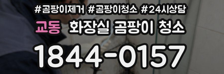 교동 화장실 곰팡이 청소