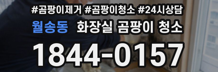 월송동 화장실 곰팡이 청소