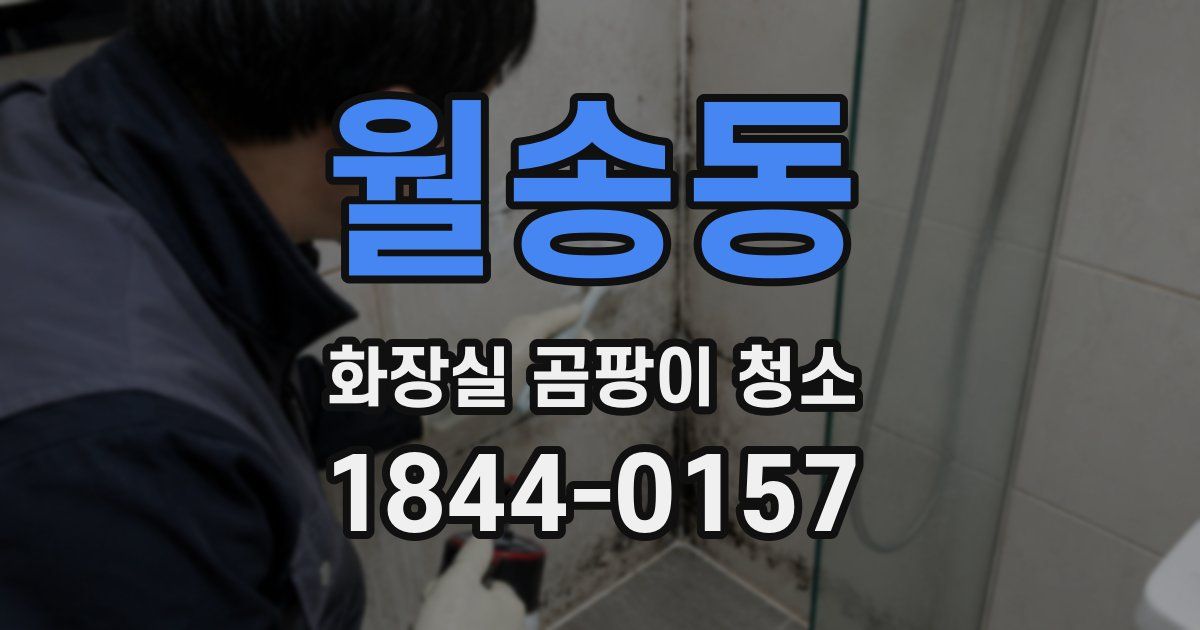 월송동 화장실 곰팡이 청소