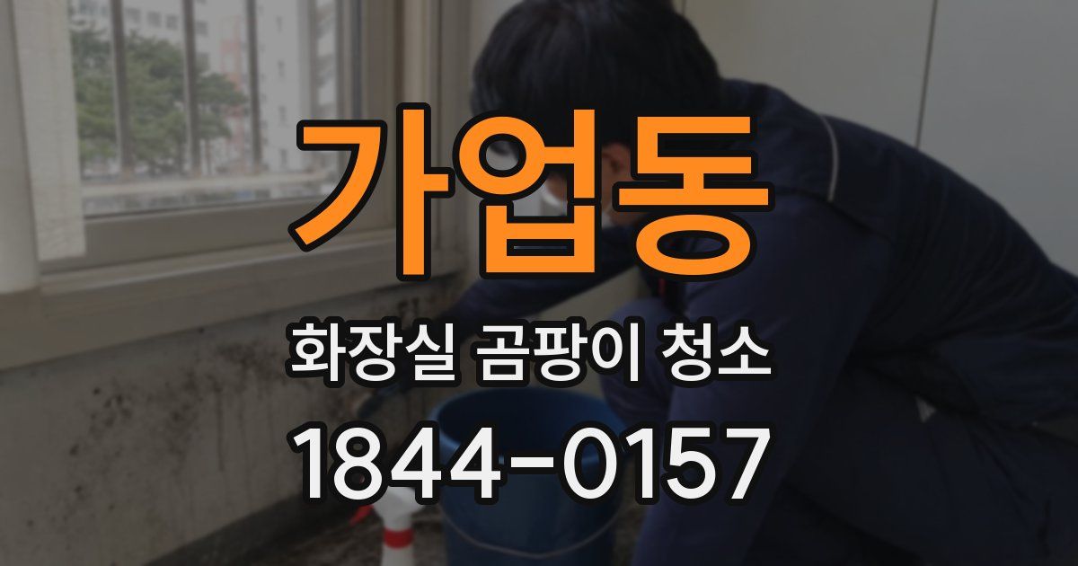 가업동 화장실 곰팡이 청소