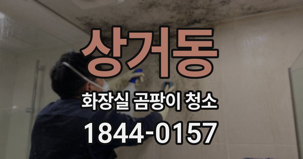 상거동 화장실 곰팡이 청소