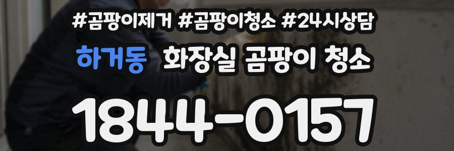 하거동 화장실 곰팡이 청소