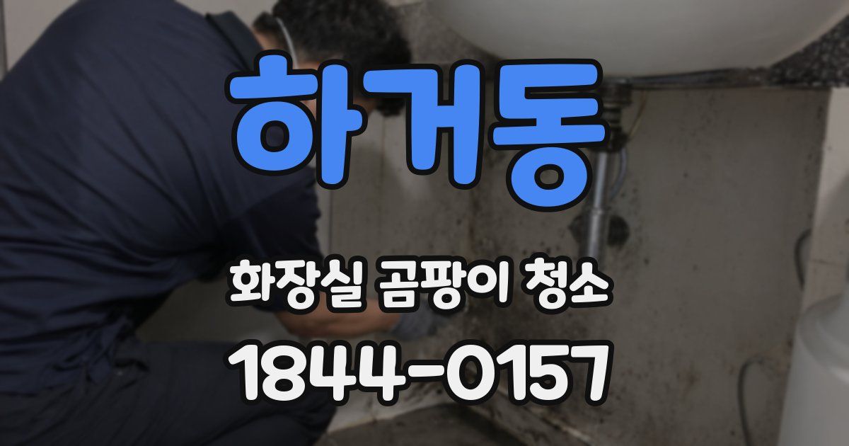 하거동 화장실 곰팡이 청소