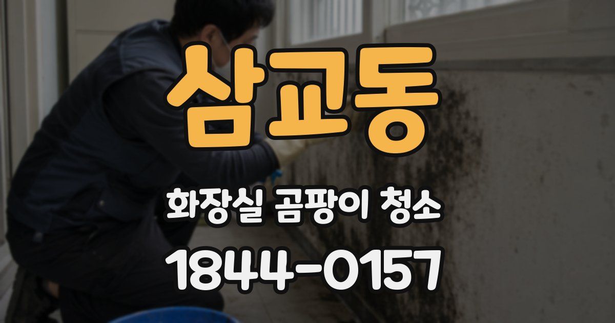 삼교동 화장실 곰팡이 청소