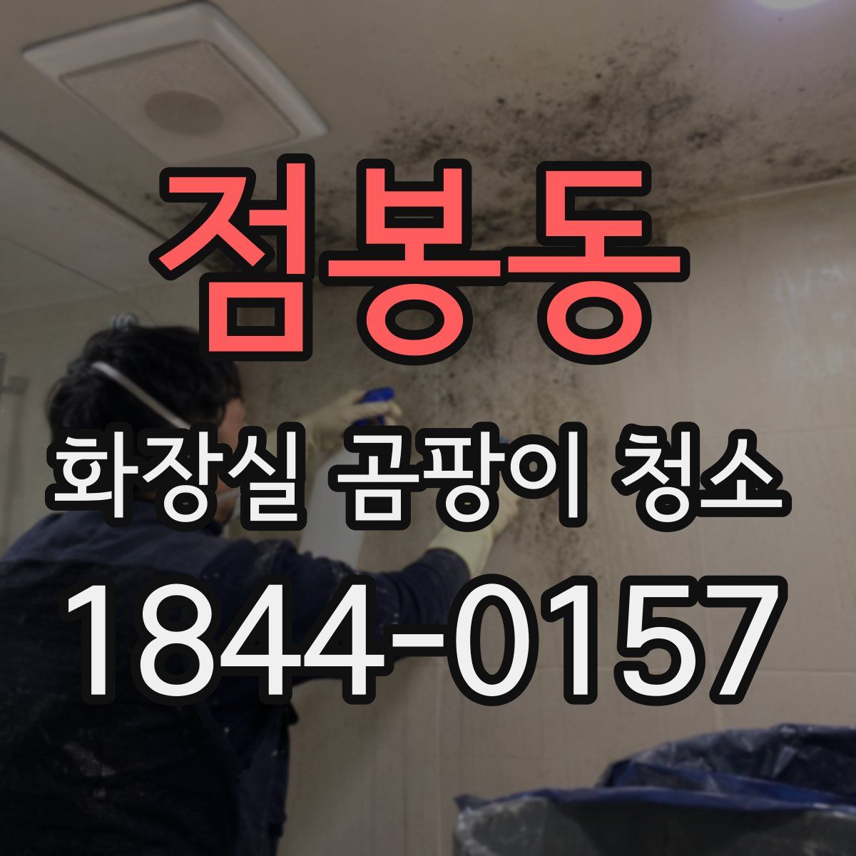 점봉동 화장실 곰팡이 청소