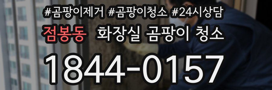 점봉동 화장실 곰팡이 청소