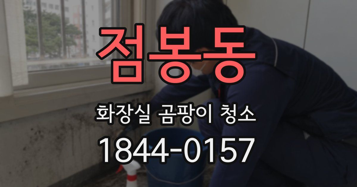 점봉동 화장실 곰팡이 청소