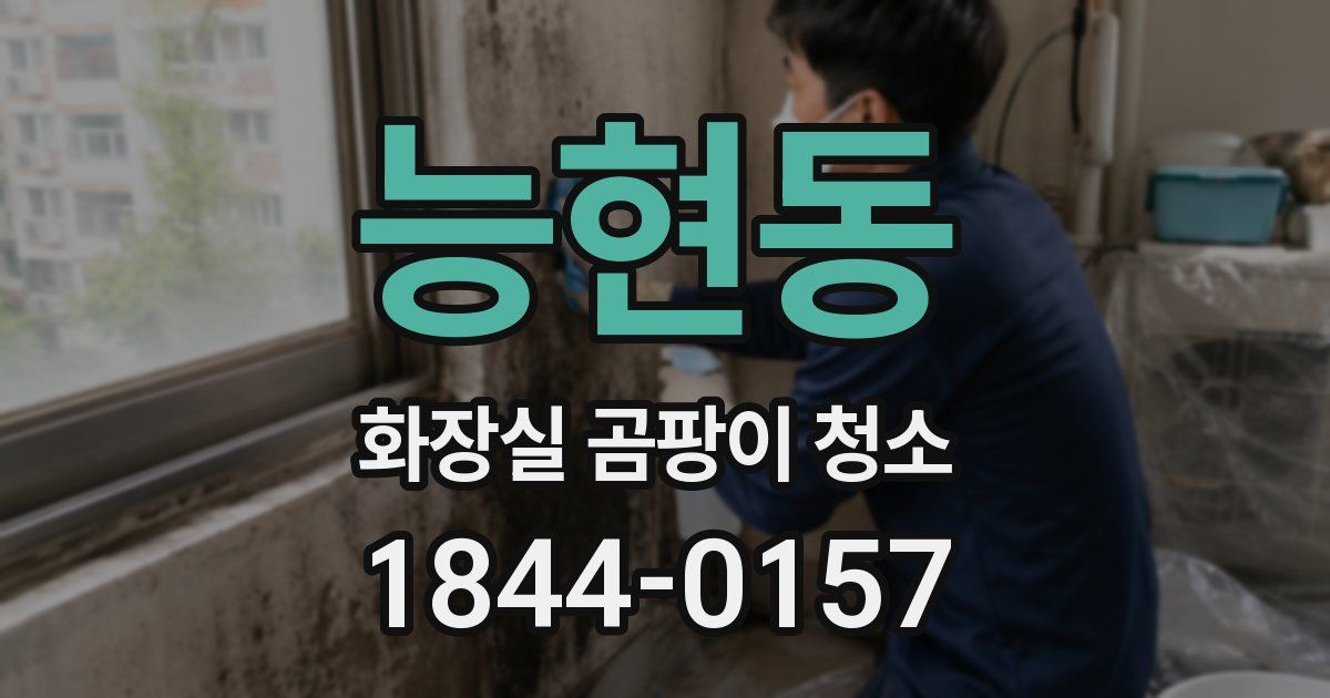 능현동 화장실 곰팡이 청소
