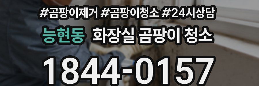 능현동 화장실 곰팡이 청소