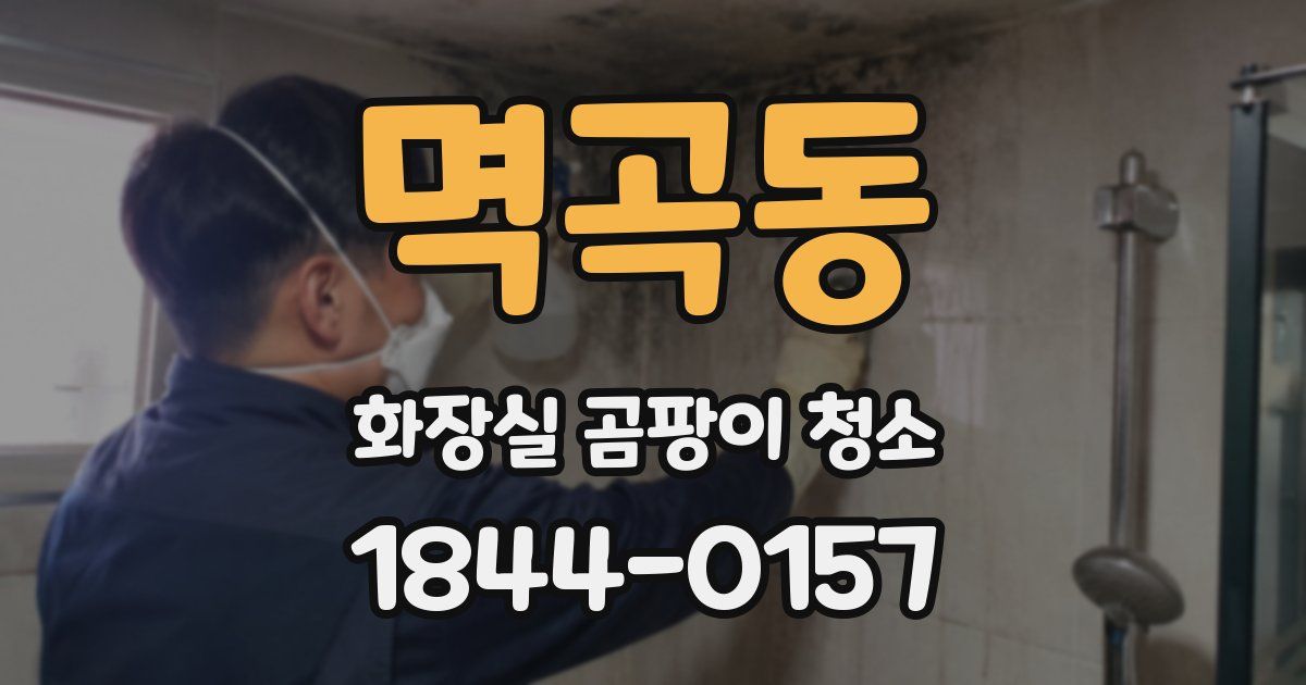 멱곡동 화장실 곰팡이 청소