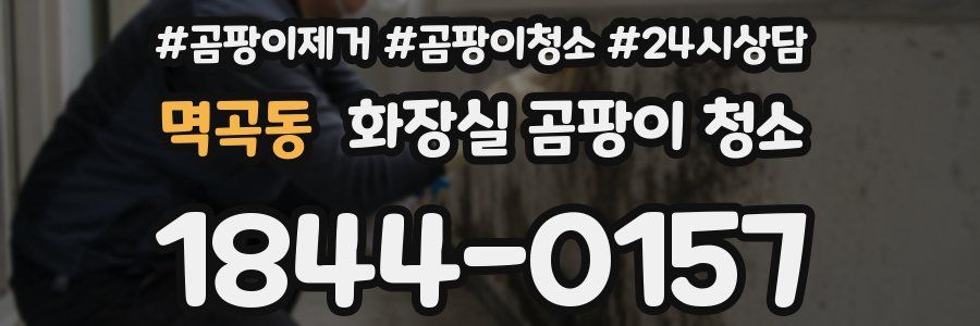멱곡동 화장실 곰팡이 청소