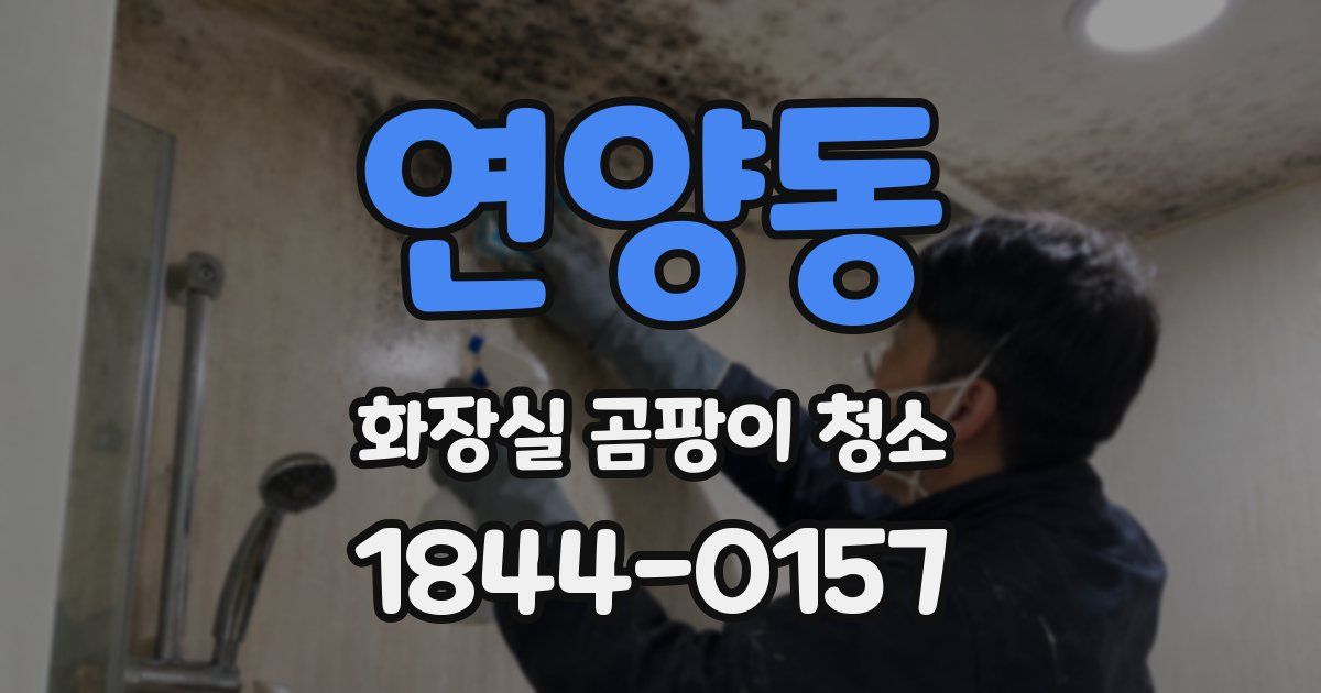 연양동 화장실 곰팡이 청소