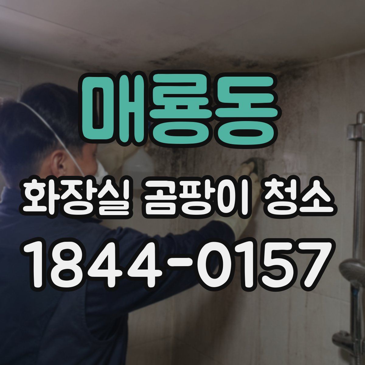 매룡동 화장실 곰팡이 청소