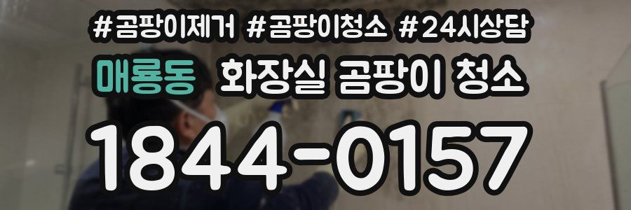 매룡동 화장실 곰팡이 청소