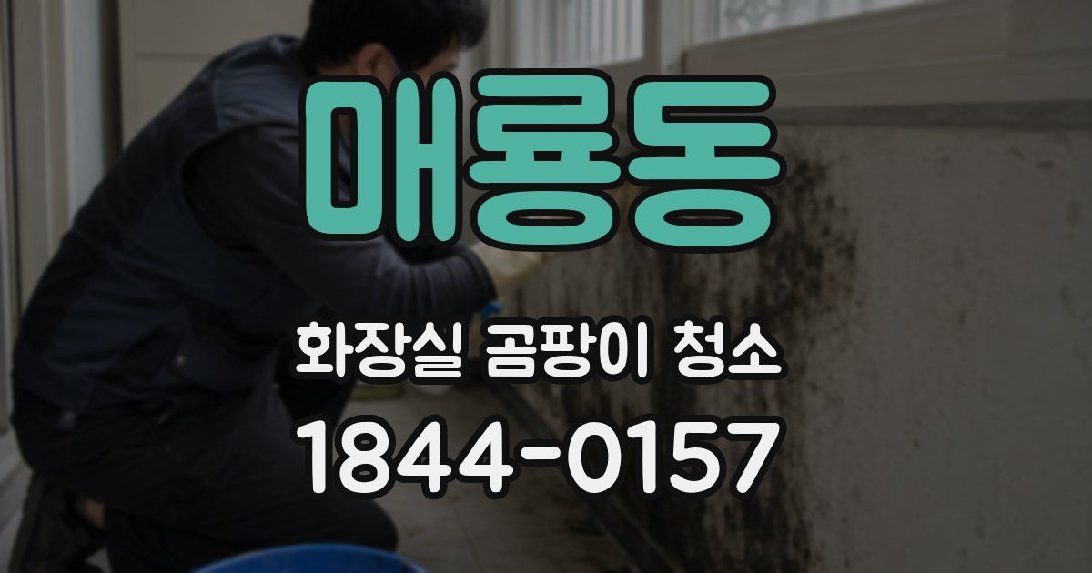 매룡동 화장실 곰팡이 청소