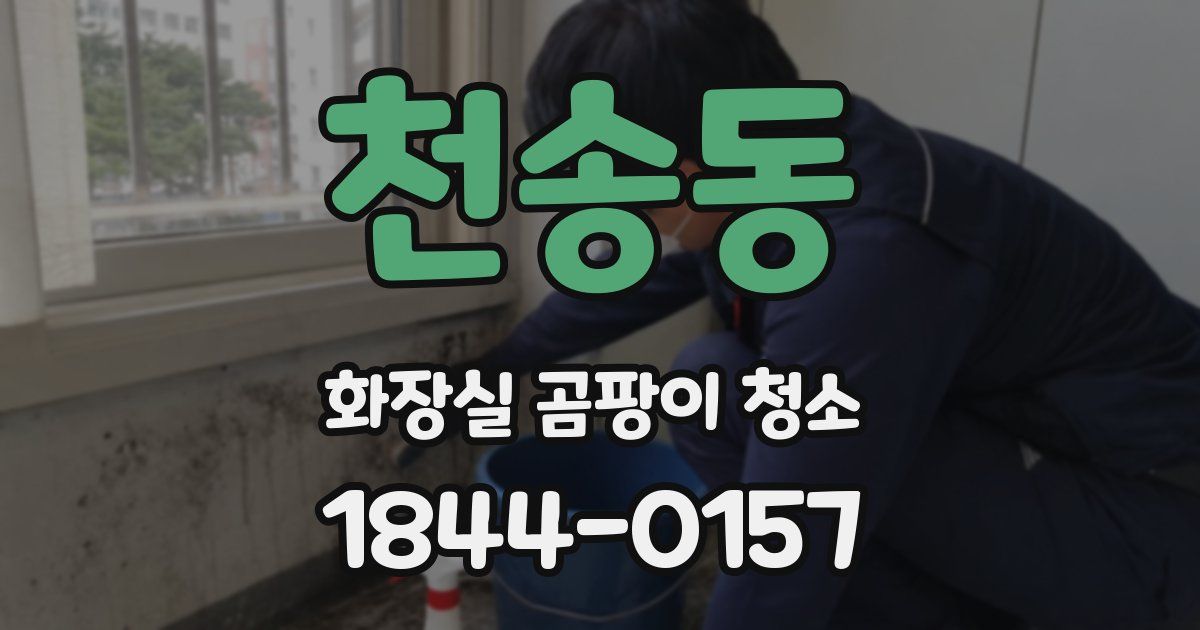 천송동 화장실 곰팡이 청소