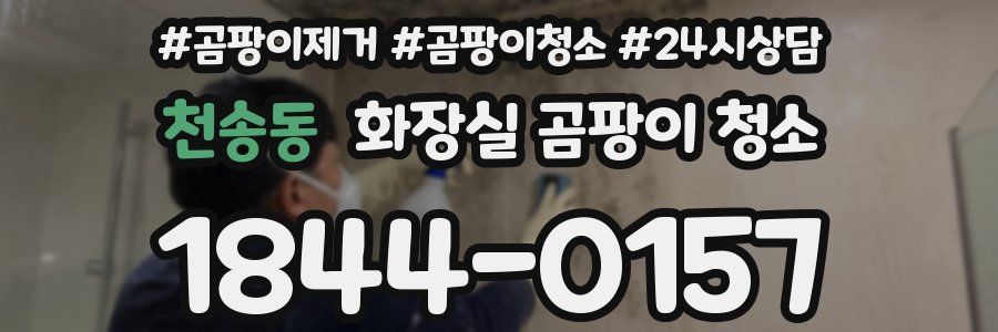 천송동 화장실 곰팡이 청소