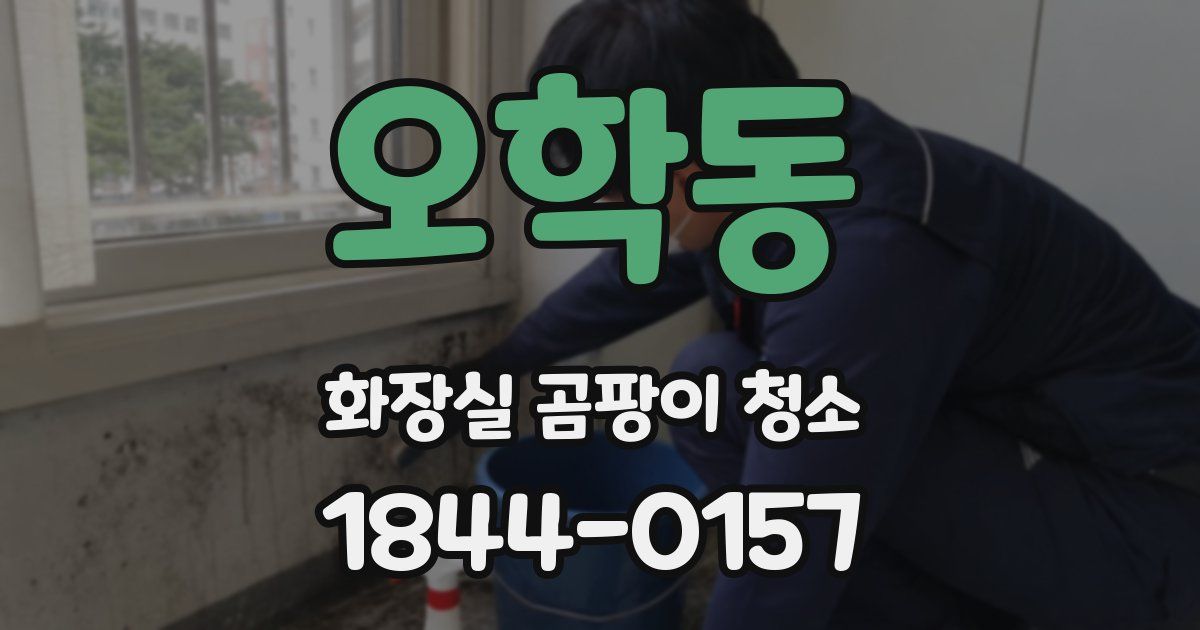 오학동 화장실 곰팡이 청소