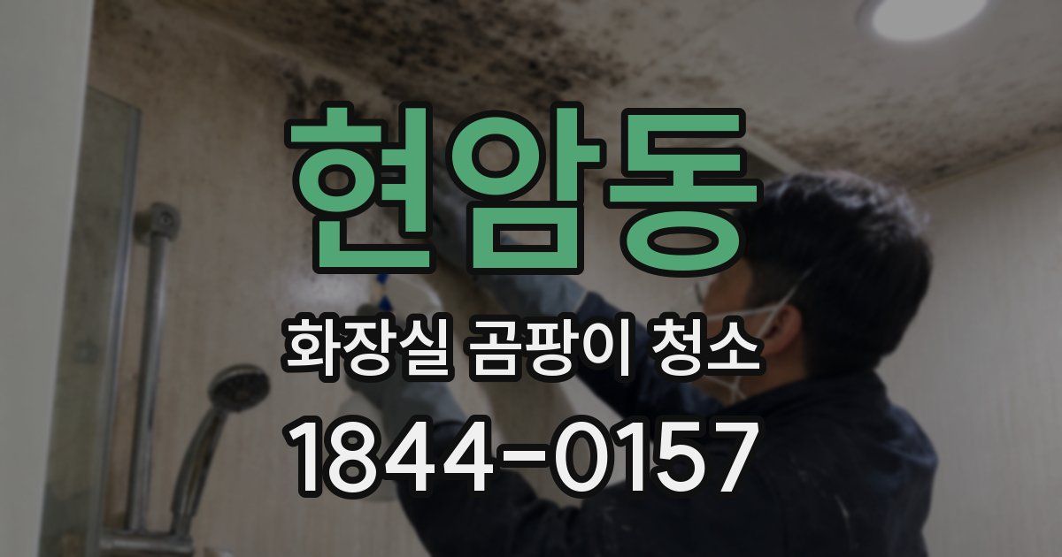 현암동 화장실 곰팡이 청소