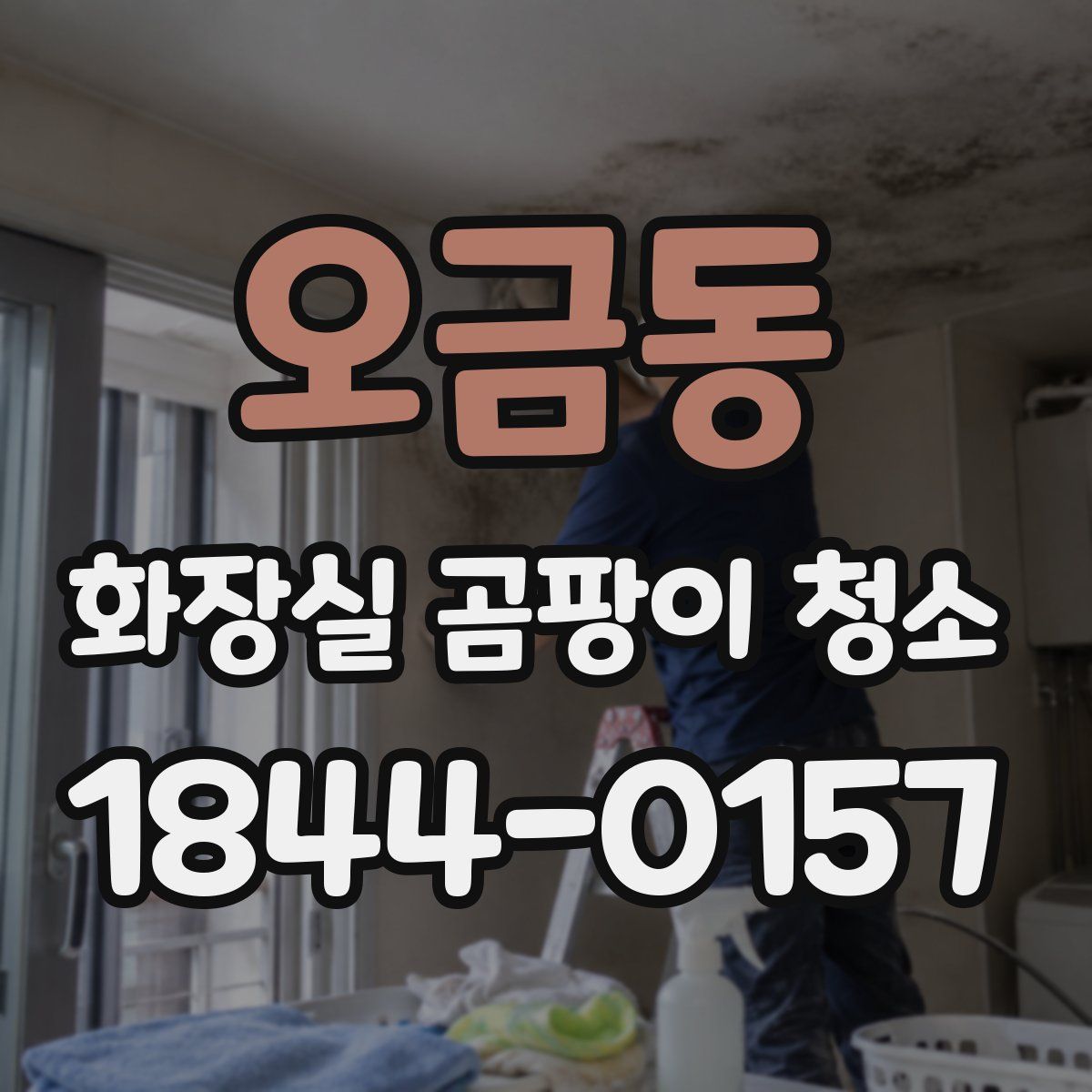 오금동 화장실 곰팡이 청소