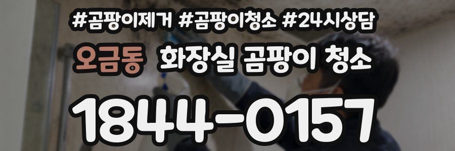 오금동 화장실 곰팡이 청소