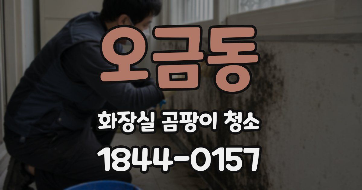 오금동 화장실 곰팡이 청소
