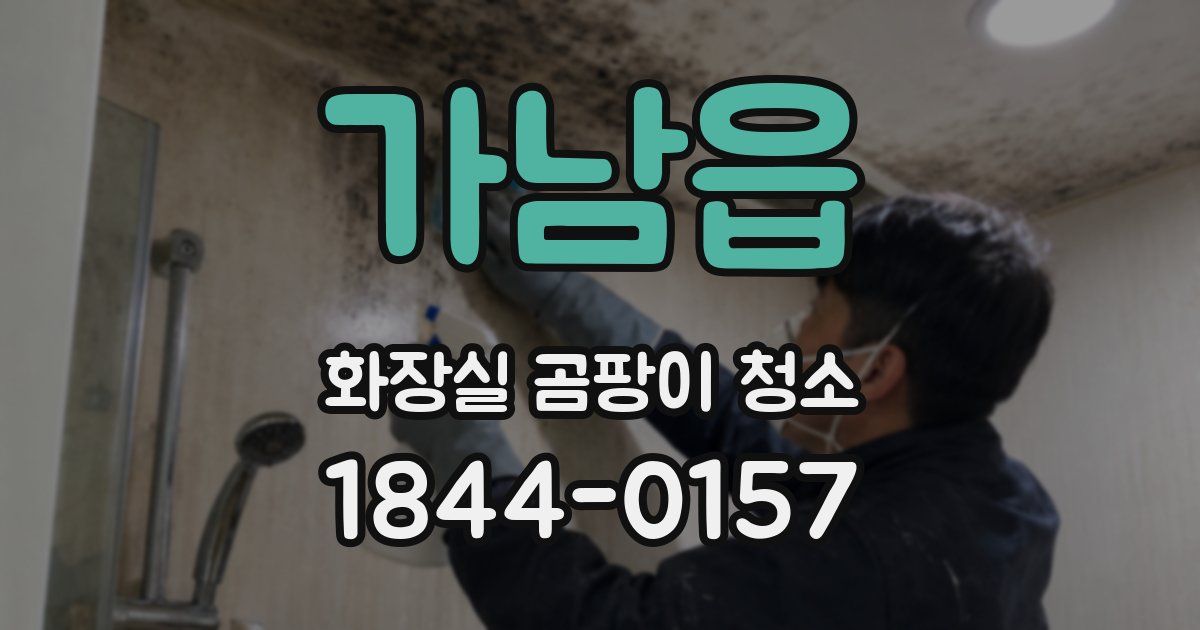 가남읍 화장실 곰팡이 청소