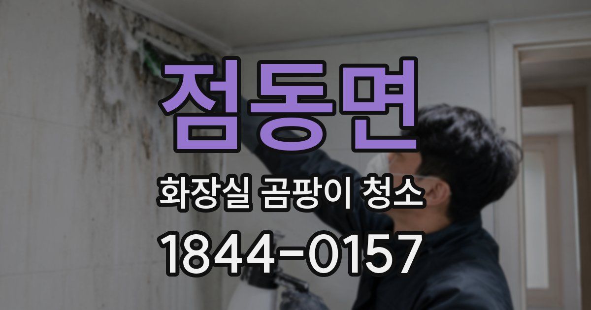 점동면 화장실 곰팡이 청소