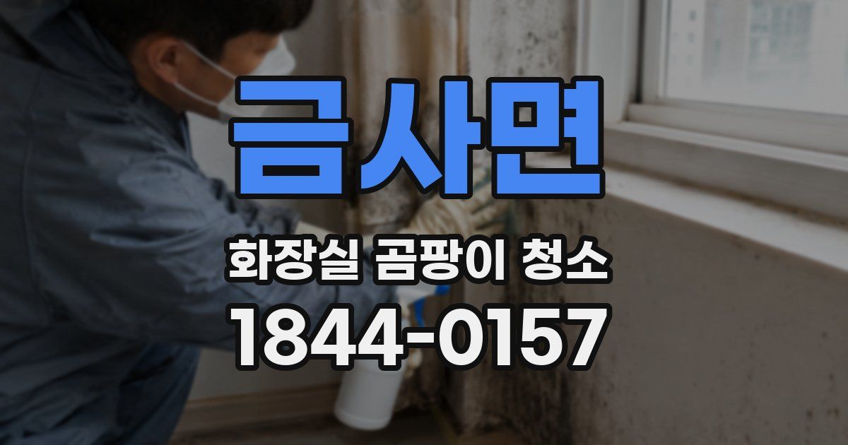 금사면 화장실 곰팡이 청소