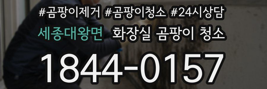 세종대왕면 화장실 곰팡이 청소