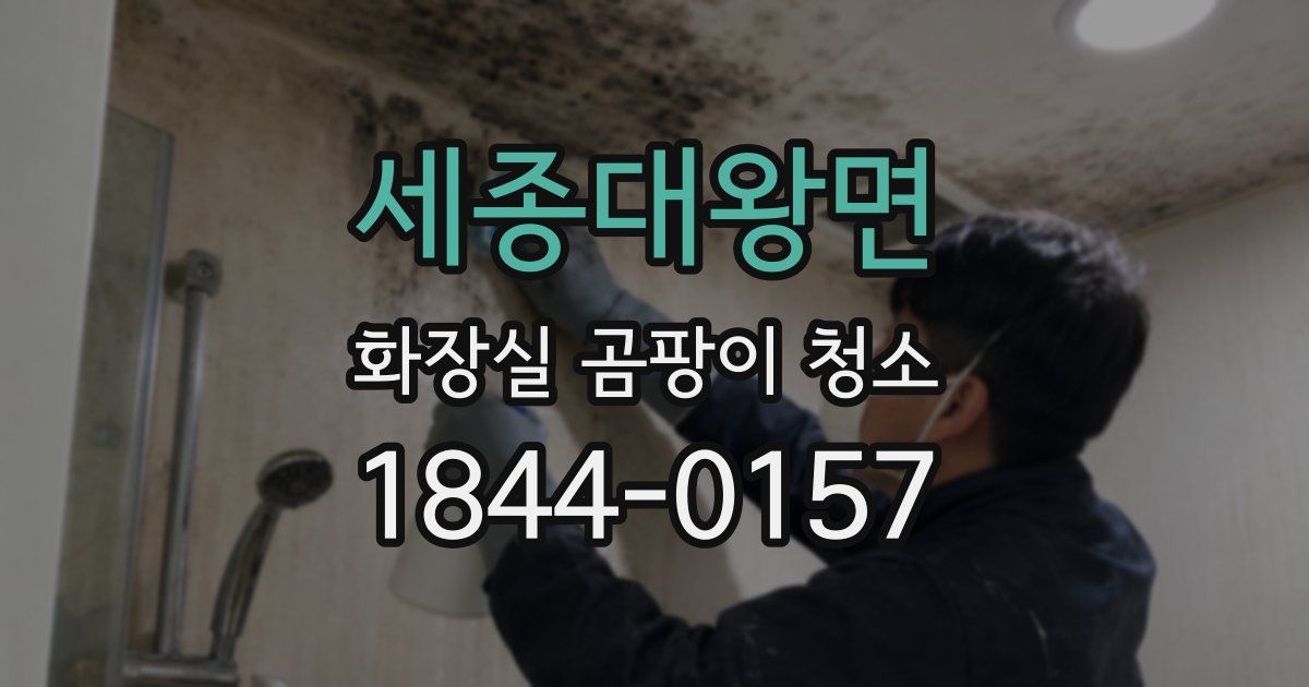세종대왕면 화장실 곰팡이 청소