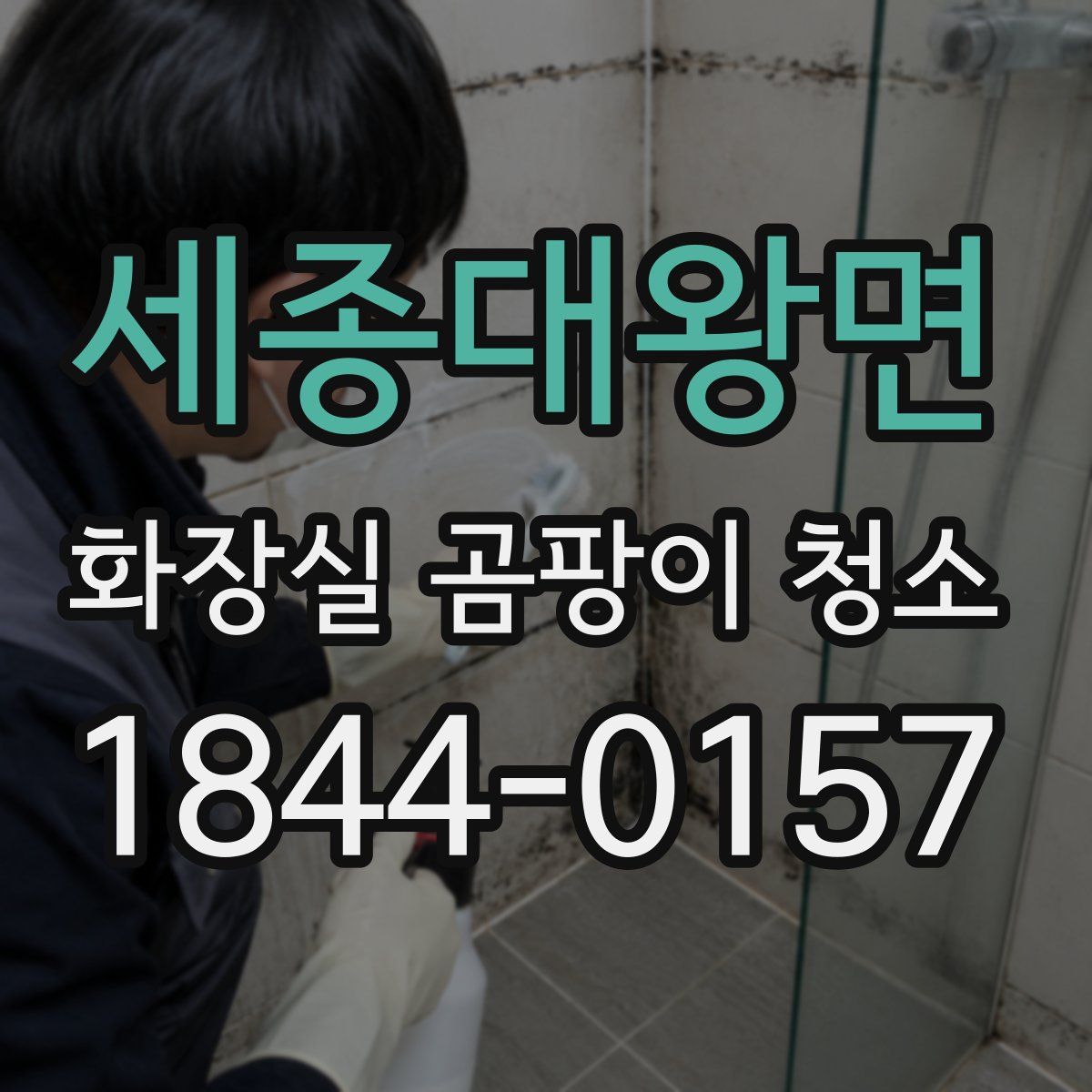 세종대왕면 화장실 곰팡이 청소