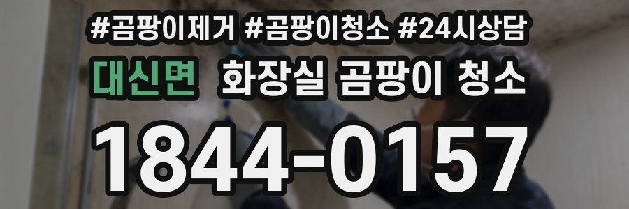 대신면 화장실 곰팡이 청소