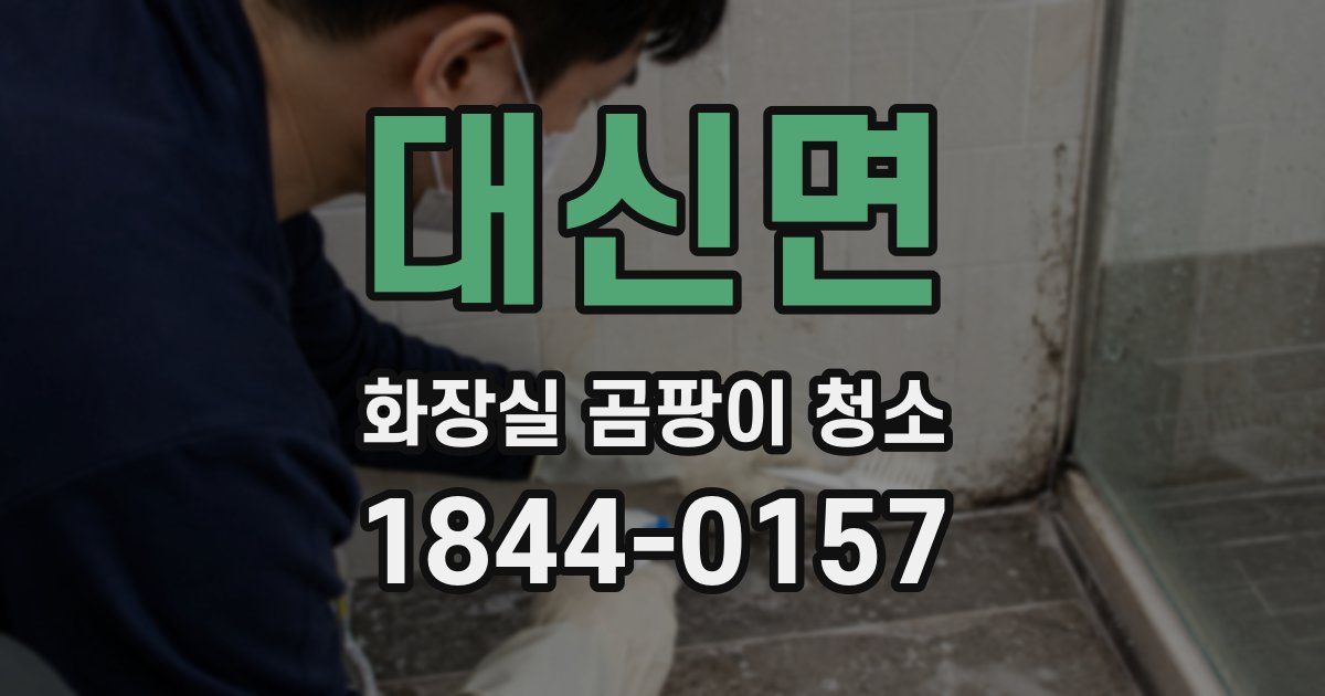 대신면 화장실 곰팡이 청소
