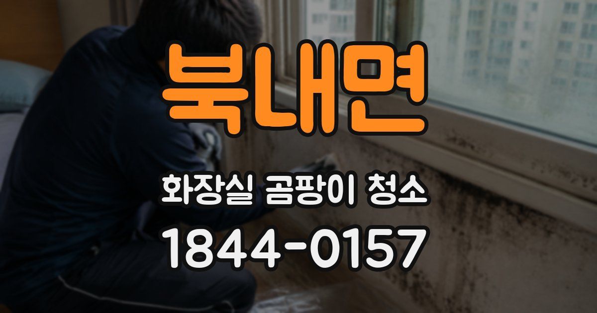 북내면 화장실 곰팡이 청소