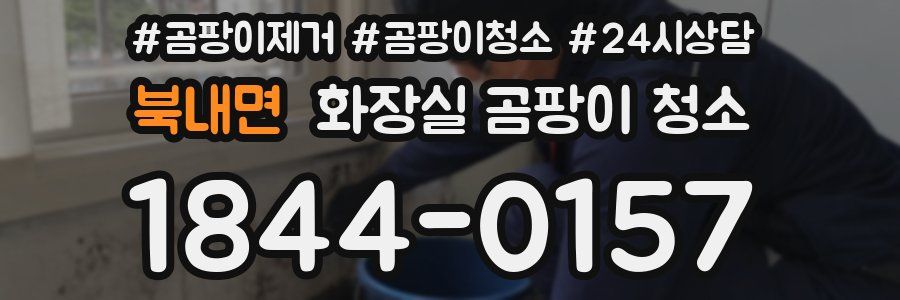 북내면 화장실 곰팡이 청소