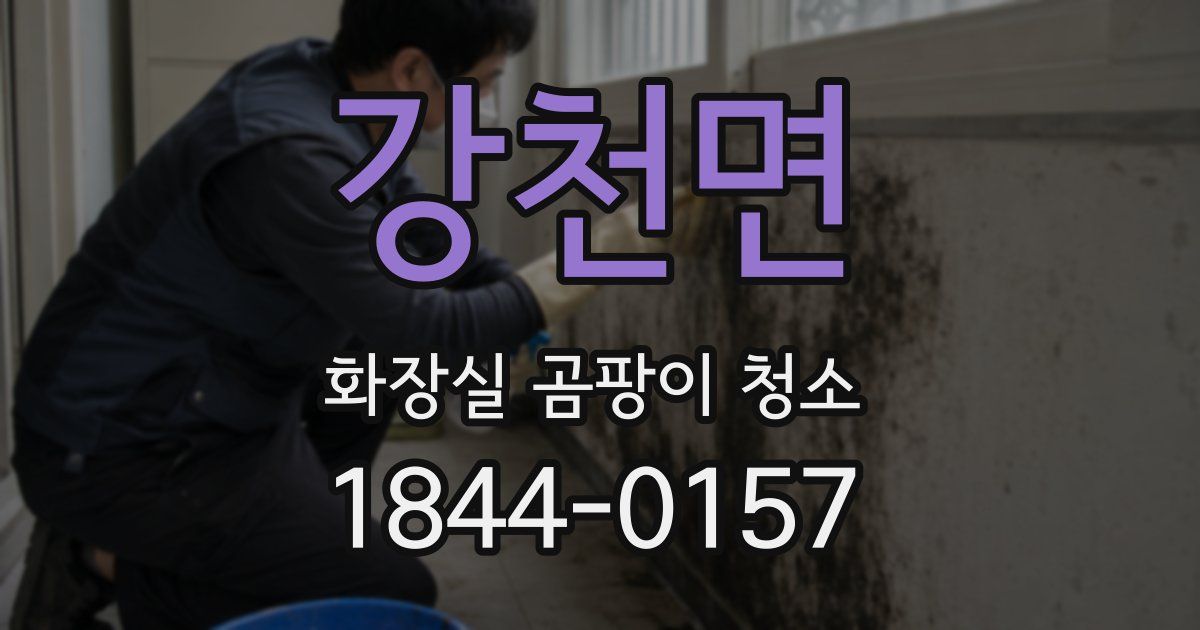 강천면 화장실 곰팡이 청소