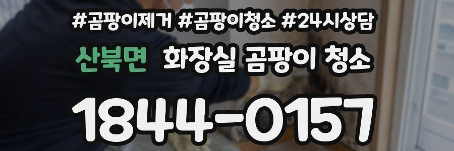산북면 화장실 곰팡이 청소