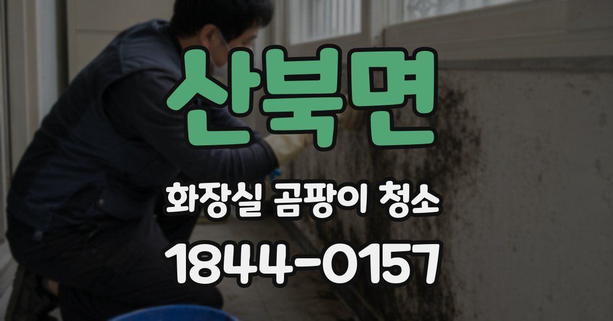 산북면 화장실 곰팡이 청소