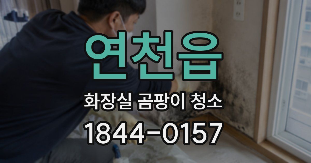 연천읍 화장실 곰팡이 청소