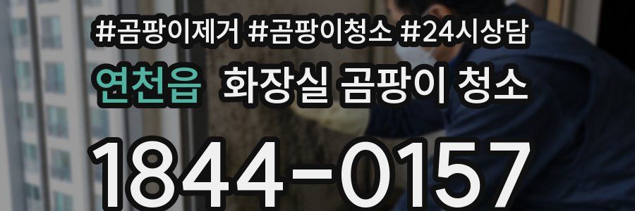 연천읍 화장실 곰팡이 청소