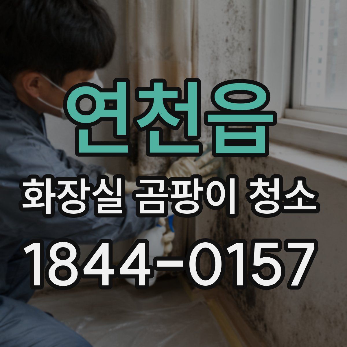 연천읍 화장실 곰팡이 청소