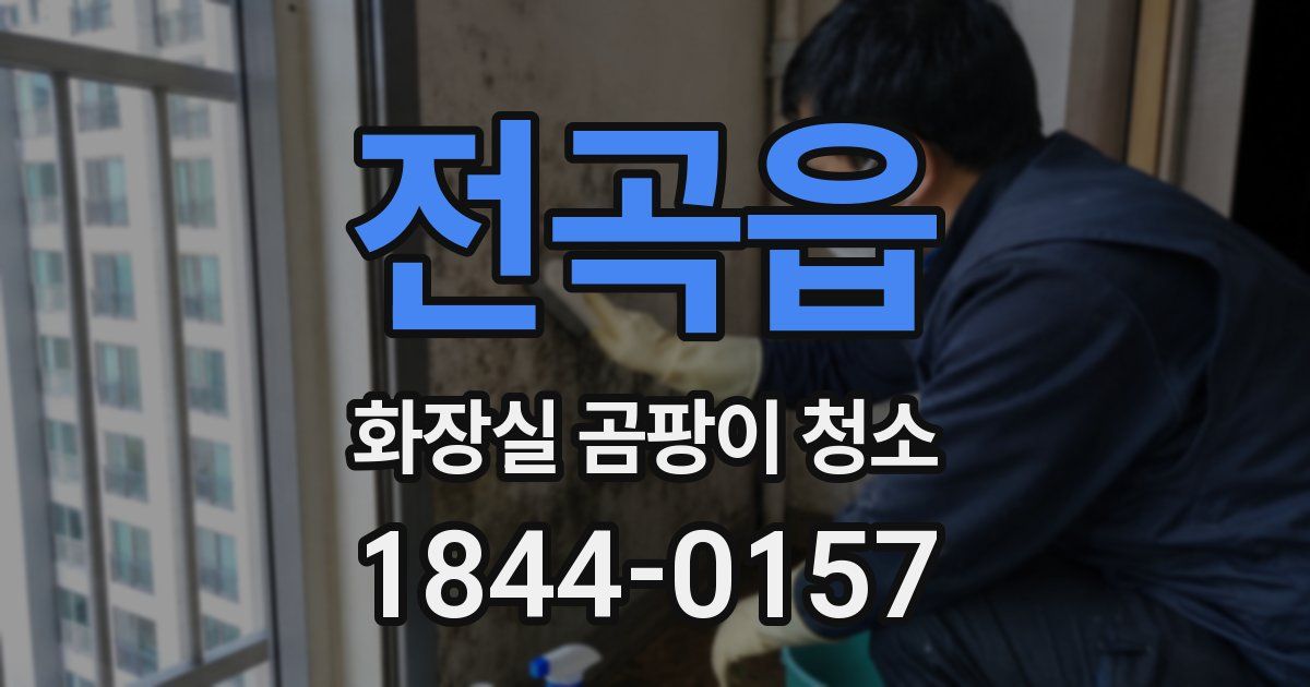 전곡읍 화장실 곰팡이 청소