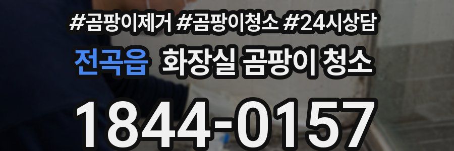 전곡읍 화장실 곰팡이 청소