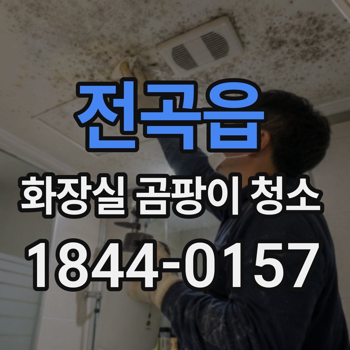 전곡읍 화장실 곰팡이 청소
